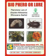 Combo Pack of Bio Phero OR (Rhinoceros Beetle) Lure & Bucket trap set (Pack of 5 Pieces)